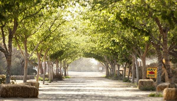 schnepf farms outdoor wedding venue arizona