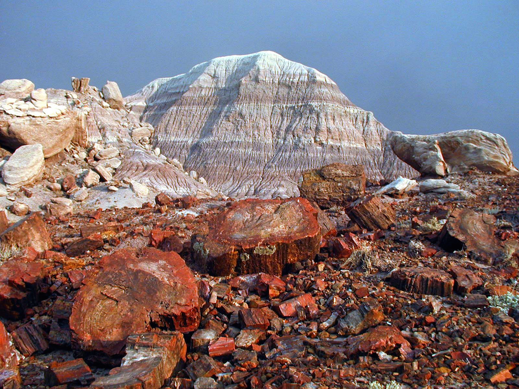 Petrified Forest National Park Places to Elope In Arizona